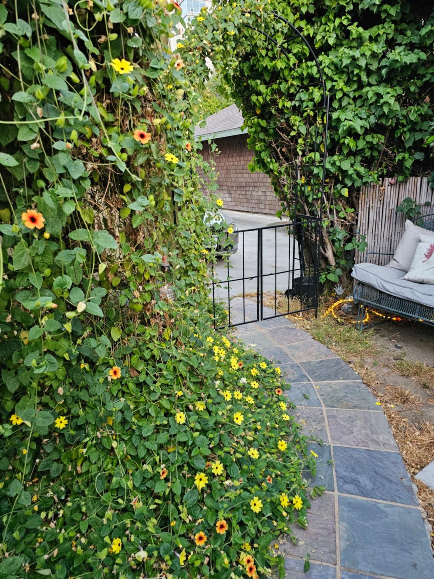 Appartement Tranquility At The House Of Alchemy Hollywood à Los Angeles Extérieur photo