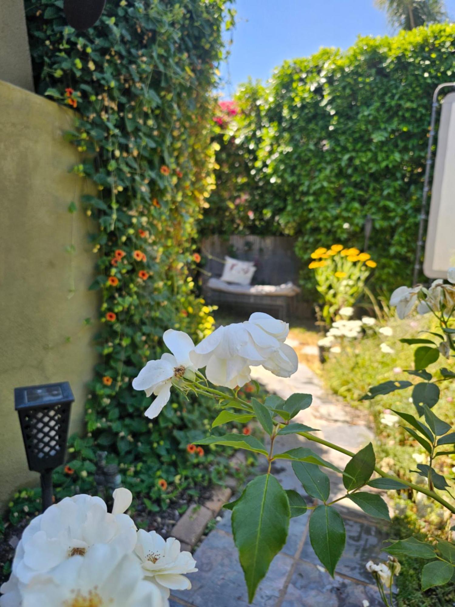 Appartement Tranquility At The House Of Alchemy Hollywood à Los Angeles Extérieur photo